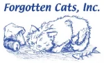 Forgotten Cats nonprofit in Pennsylvania providing cat rescue, shelter, and adoption services